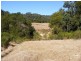 Elands NSW 2429