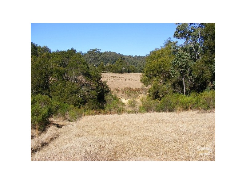 Elands NSW 2429