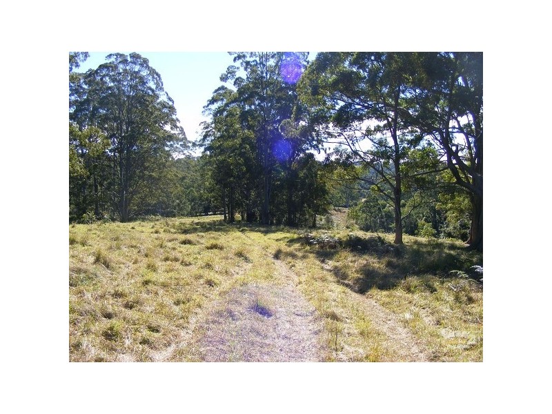 Elands NSW 2429