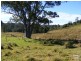 Elands NSW 2429
