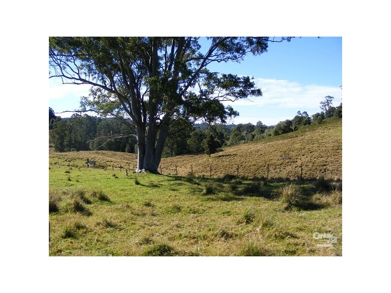 Elands NSW 2429