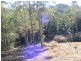 Elands NSW 2429