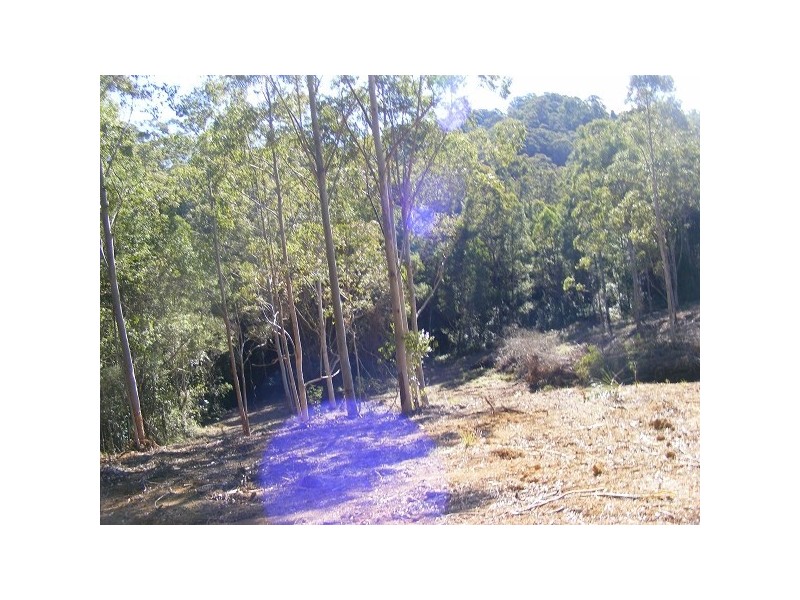 Elands NSW 2429