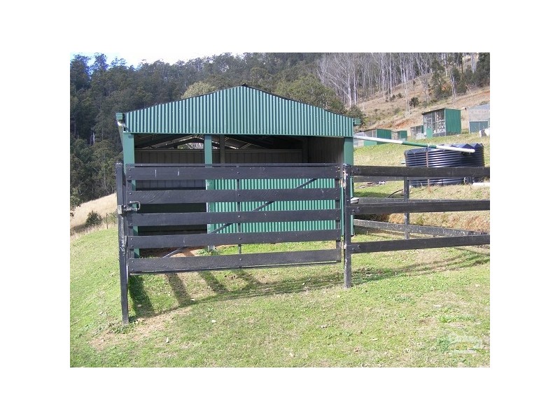 Mount George NSW 2424