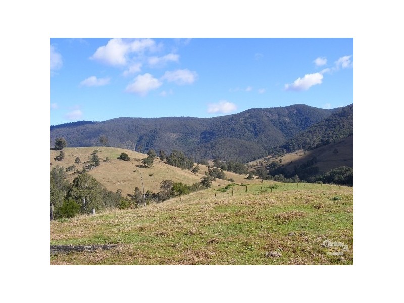 Mount George NSW 2424