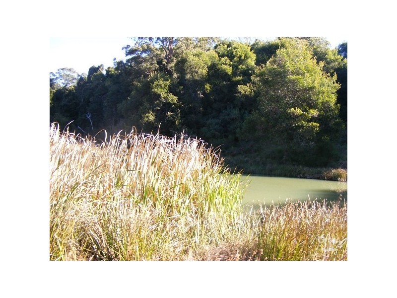 Elands NSW 2429