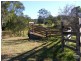 Elands NSW 2429
