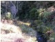 Elands NSW 2429