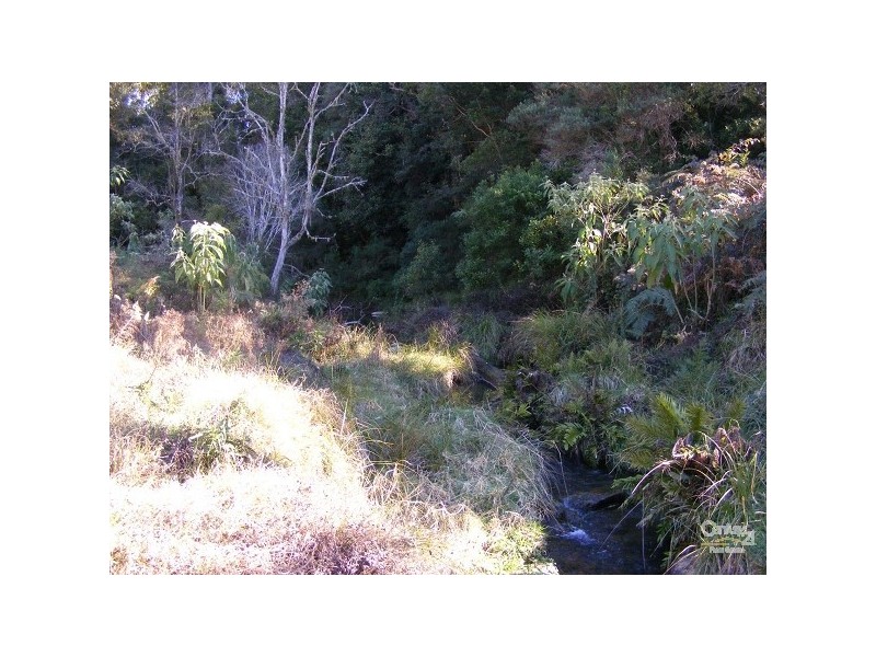Elands NSW 2429