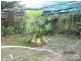 Tinonee NSW 2430