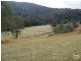 Bobin NSW 2429