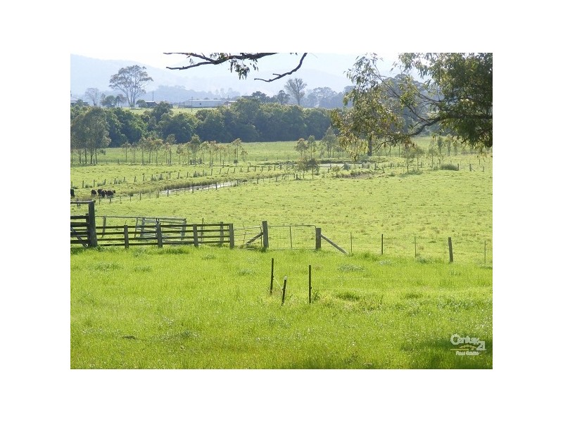 Dyers Crossing NSW 2429