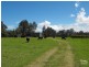 Lansdowne NSW 2430