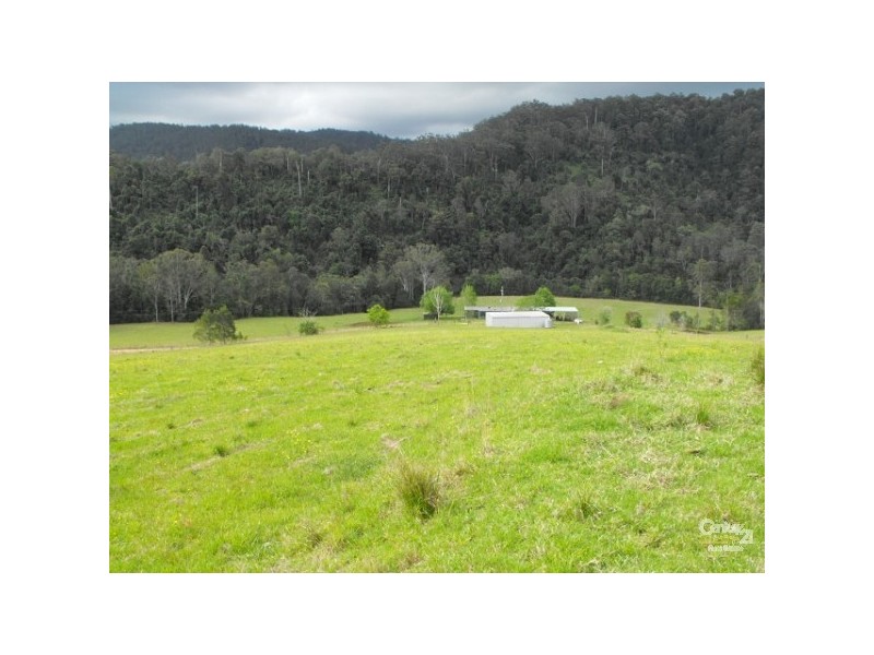 Caparra NSW 2429