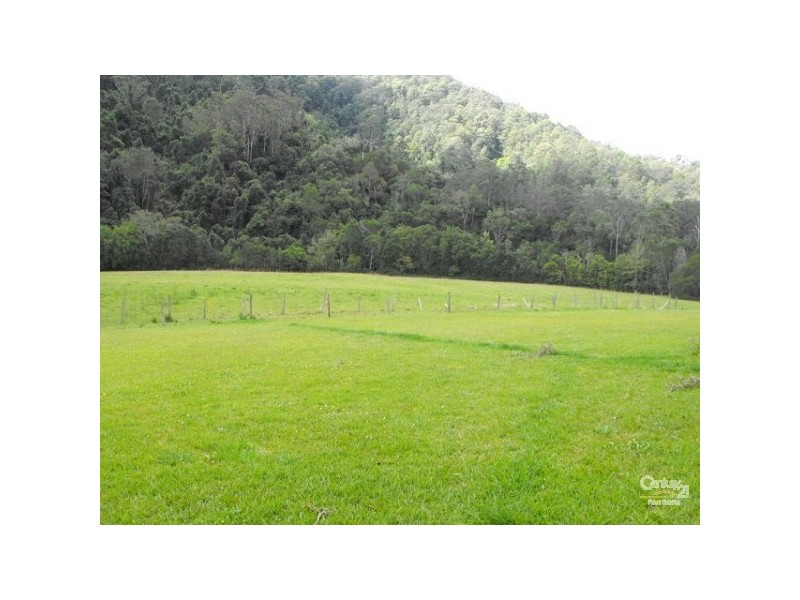 Caparra NSW 2429