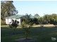 Firefly NSW 2429