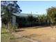Firefly NSW 2429