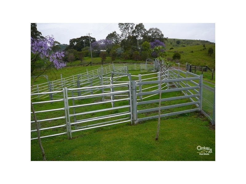 Firefly NSW 2429