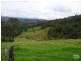 Firefly NSW 2429