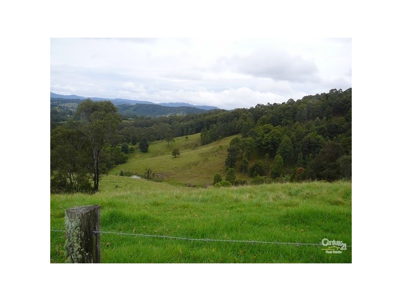 Firefly NSW 2429