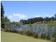 Tuncurry NSW 2428