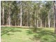 Taree NSW 2430