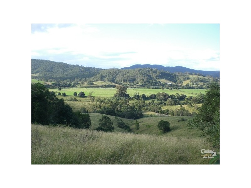 447 Summerset Rd, Kimbriki, Wingham NSW 2429