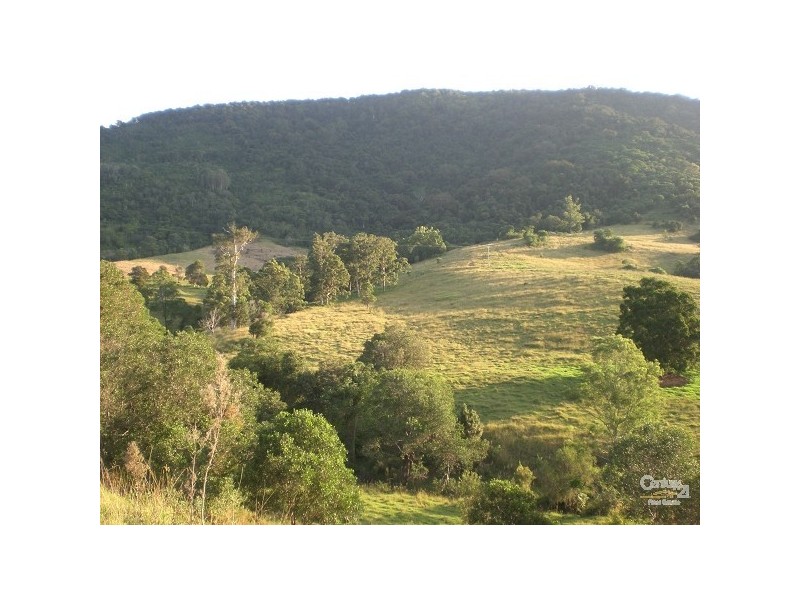 447 Summerset Rd, Kimbriki, Wingham NSW 2429