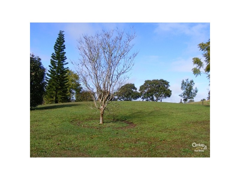 8 The Cedars Drive, Wingham NSW 2429