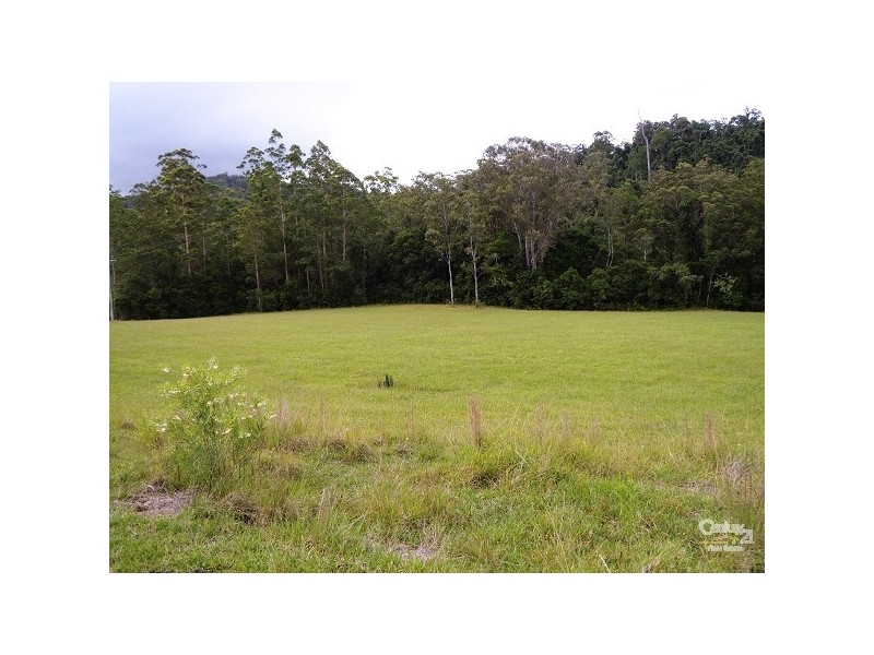 1309 Caparra Road, Wherrol Flat NSW 2429