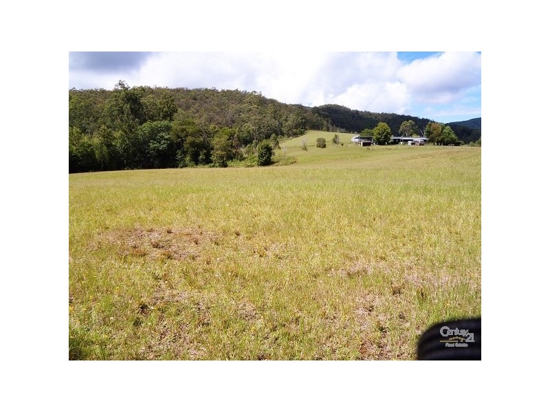 1309 Caparra Road, Wherrol Flat NSW 2429