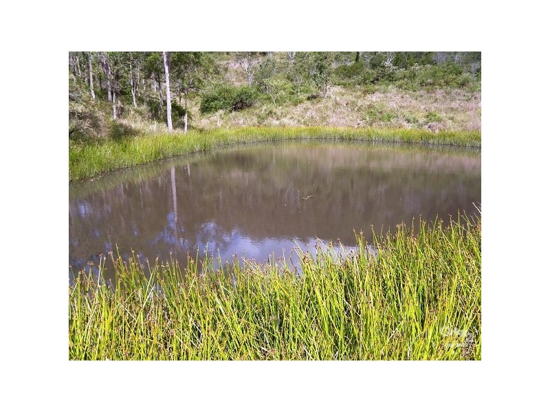 1309 Caparra Road, Wherrol Flat NSW 2429