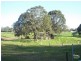 36 Appletree Street, Wingham NSW 2429