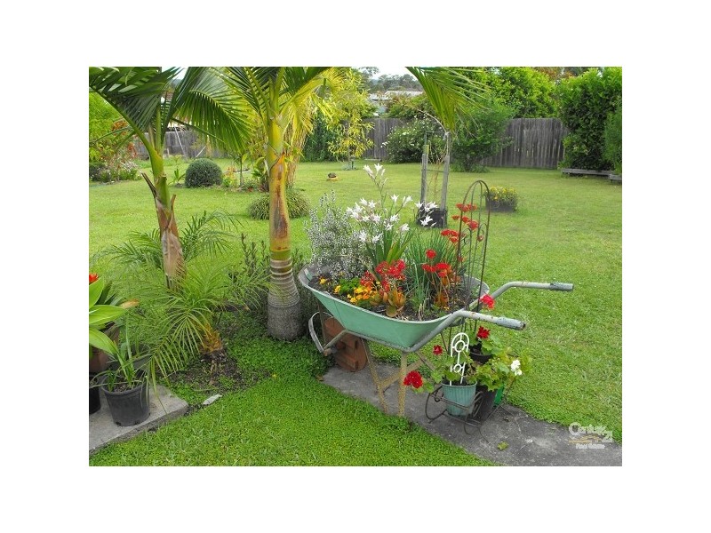 Taree NSW 2430