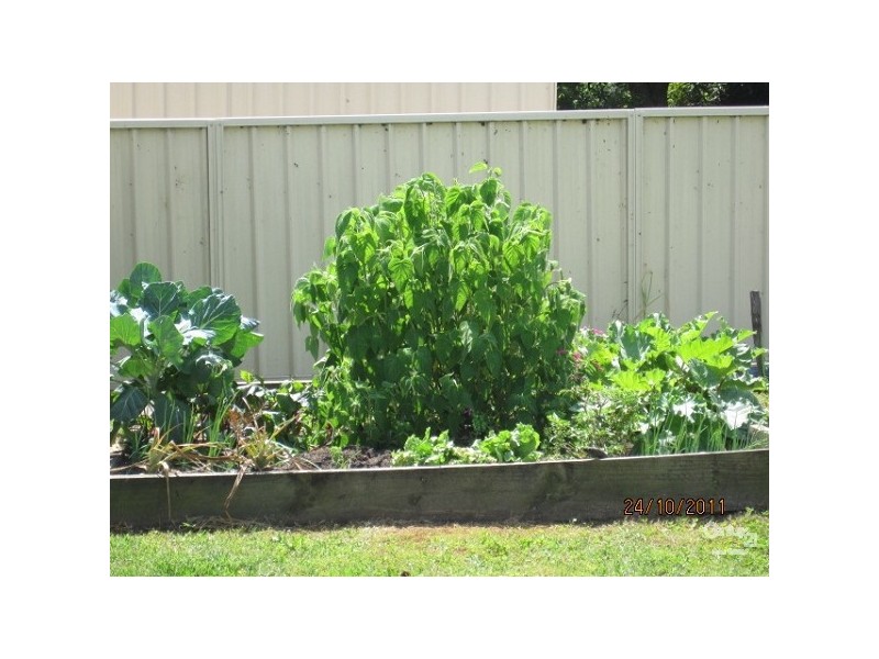 75 Main St, Cundletown NSW 2430