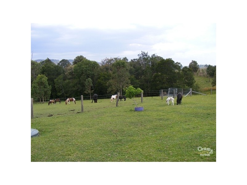 Bunyah NSW 2429