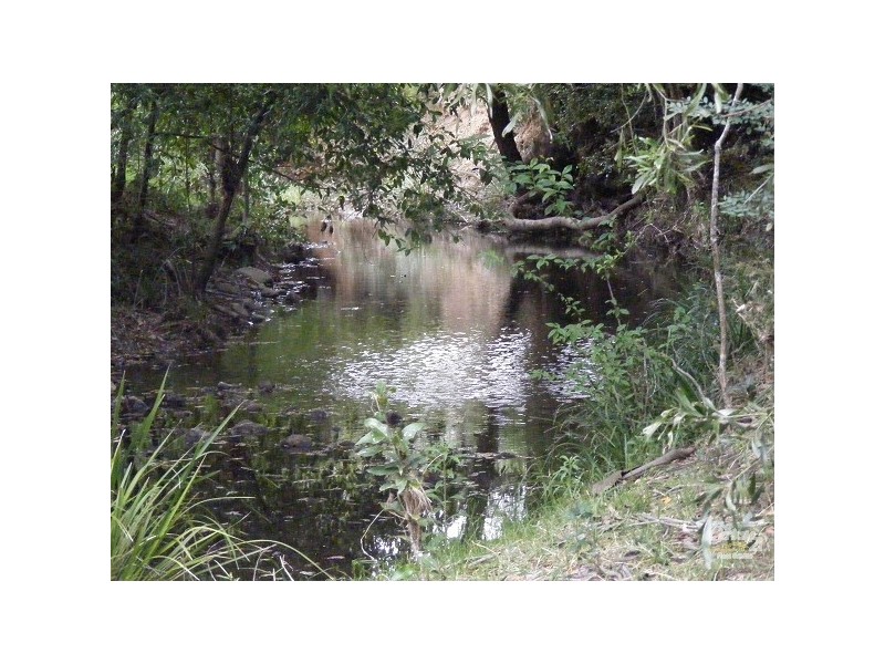 Bunyah NSW 2429