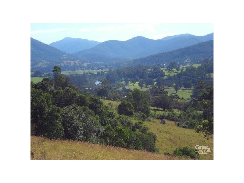 447 Summerset Rd, Kimbriki NSW 2429