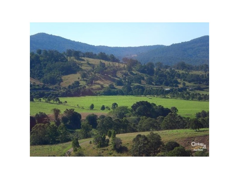 447 Summerset Rd, Kimbriki NSW 2429
