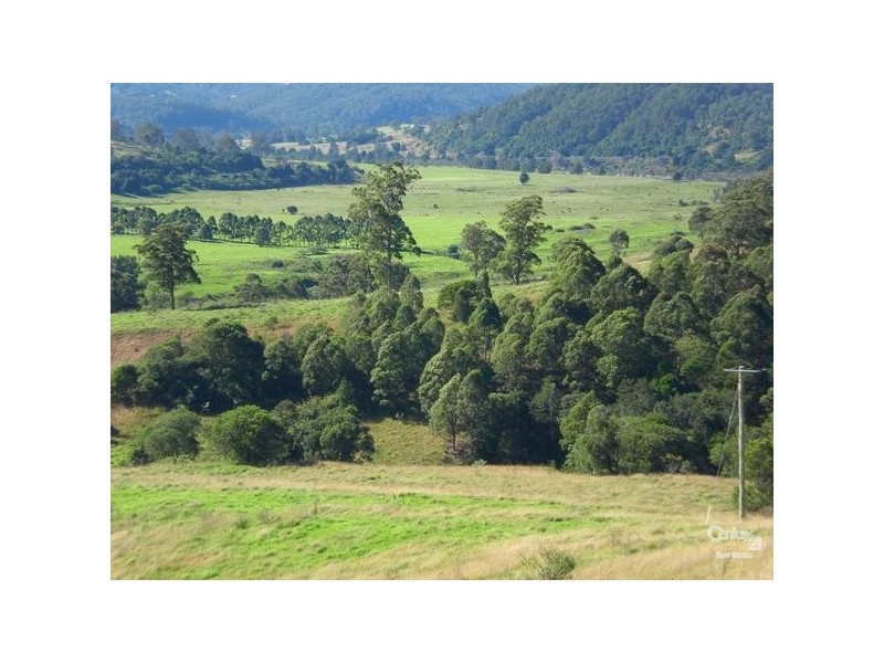 447 Summerset Rd, Kimbriki NSW 2429