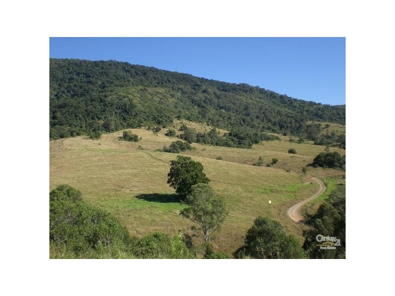 447 Summerset Rd, Kimbriki NSW 2429