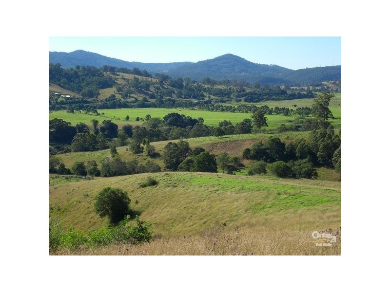 447 Summerset Rd, Wingham NSW 2429
