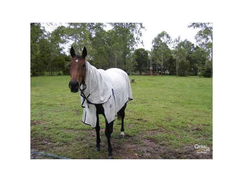 Pampoolah NSW 2430