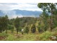 Cooplacurripa NSW 2424