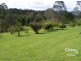 2441 The Buckets way, Belbora NSW 2422