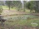2441 The Buckets way, Belbora NSW 2422