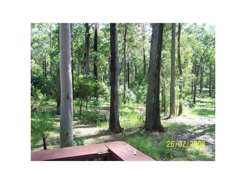 Mitchells Island NSW 2430