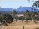 1076 Comboyne Road, Cedar Party NSW 2429