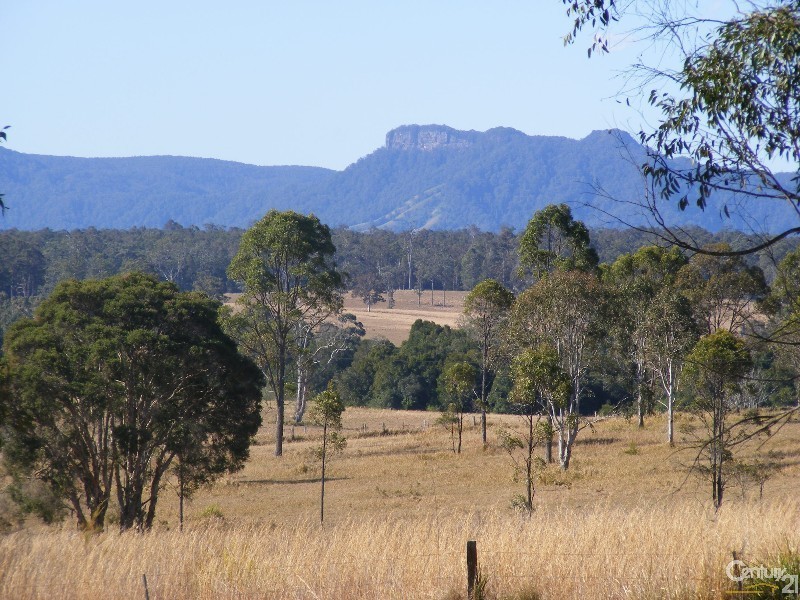 1076 Comboyne Road, Cedar Party NSW 2429
