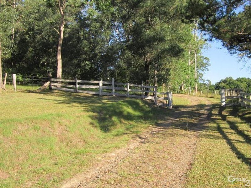 3157 Nowendoc Road, Caffreys Flat NSW 2424